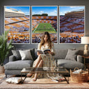 Tennessee Neyland Stadium Wall Art, Sports Arena Canvas by MyGreatCanvas | Canvas Wall Art Prints | Photo Prints & Wall Decor