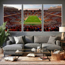 Tennessee Neyland Stadium Wall Art, Sports Arena Canvas by MyGreatCanvas | Canvas Wall Art Prints | Photo Prints & Wall Decor