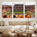 Tennessee Neyland Stadium Wall Art, Sports Arena Canvas by MyGreatCanvas | Canvas Wall Art Prints | Photo Prints & Wall Decor