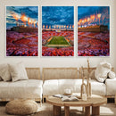 Tennessee Neyland Stadium Wall Art, Sports Arena Canvas by MyGreatCanvas | Canvas Wall Art Prints | Photo Prints & Wall Decor