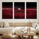 Dooley Stadium Wall Art, Sports Arena Canvas Print, Dooley by MyGreatCanvas | Canvas Wall Art Prints | Photo Prints & Wall Decor