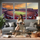 Dooley Stadium Wall Art, Sports Arena Canvas Print, Dooley