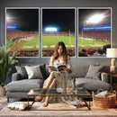 Dooley Stadium Wall Art, Sports Arena Panoramic Canvas