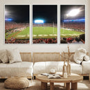 Dooley Stadium Wall Art, Sports Arena Panoramic Canvas by MyGreatCanvas | Canvas Wall Art Prints | Photo Prints & Wall Decor
