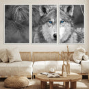 Wild Wolf Blue Eye Wall Art Canvas Print