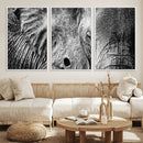 Wild Old Elephant Wall Art Canvas Print