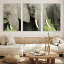 Wild Elephant Wall Art Canvas Print by MyGreatCanvas | Canvas Wall Art Prints | Photo Prints & Wall Decor