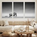 Elephand and Zebra Wall Art Canvas Print, Modern Artwork