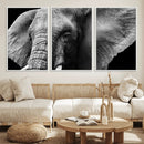 Big Elephant Close Up Wall Art Canvas Print