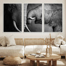 Elephant Family Wall Art Canvas, Framed Elephant Family by MyGreatCanvas | Canvas Wall Art Prints | Photo Prints & Wall Decor