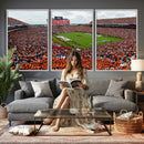 Auburn Stadium Wall Art Canvas Print, Jordan Hare Stadium