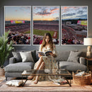 Donald W. Reynolds Razorback Stadium Wall Art Canvas Print –