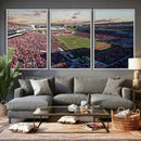 Donald W. Reynolds Razorback Stadium Wall Art Canvas Print – by MyGreatCanvas | Canvas Wall Art Prints | Photo Prints & Wall Decor