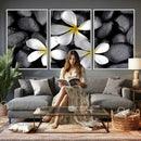 Plumeria Frangipani Black Stone Canvas | White Flower Spa by MyGreatCanvas | Canvas Wall Art Prints | Photo Prints & Wall Decor