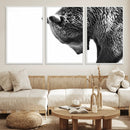 Black and White Grizzly 399 Bear Canvas Print Wall Art | by MyGreatCanvas | Canvas Wall Art Prints | Photo Prints & Wall Decor