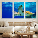 Sea Turtle Wall Art Canvas Print, Sea life in the Ocean Wall