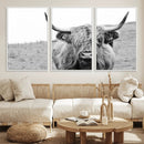 Newfoundland Cow Art Wall Art, Black White Cow Art Wall Art