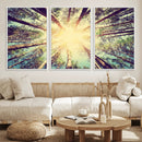 Tree and Sunshine Canvas Print