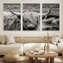 Cow Focus Canvas Wall Art Print by MyGreatCanvas | Canvas Wall Art Prints | Photo Prints & Wall Decor