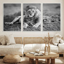 King Forest Lion Wall Art Canvas Print – Framed Majestic by MyGreatCanvas | Canvas Wall Art Prints | Photo Prints & Wall Decor
