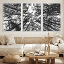 Trees Contemporary Art Canvas Print by MyGreatCanvas | Canvas Wall Art Prints | Photo Prints & Wall Decor