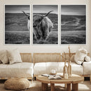 Fluffy Cattle Wall Art Print, Highland Cow Canvas, Framed by MyGreatCanvas | Canvas Wall Art Prints | Photo Prints & Wall Decor