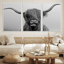 Texas Cow Wall Art Canvas, Texas Longhorn Cattle Canvas by MyGreatCanvas | Canvas Wall Art Prints | Photo Prints & Wall Decor