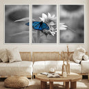 Blue Butterfly Black and White Canvas Wall Art by MyGreatCanvas | Canvas Wall Art Prints | Photo Prints & Wall Decor