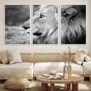 Lion Wall Art Canvas Print – Framed Majestic Wildlife by MyGreatCanvas | Canvas Wall Art Prints | Photo Prints & Wall Decor
