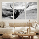 Cattle Wall Art Longhorn Cow Canvas Print