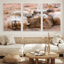 Lion Pair Wall Art Canvas Print – Framed Wildlife Scene with