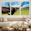 Longhorn and Cow Wall Art, Country Cow Wall Decor Canvas by MyGreatCanvas | Canvas Wall Art Prints | Photo Prints & Wall Decor