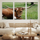 Longhorn Steer Canvas Wall Art – Rustic Nature Triptych