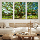 Majestic Oak Tree Wall Art – Serene Nature Canvas Print with