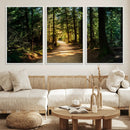 Sunlit Forest Pathway Canvas Print | 3 Panel Large Nature by MyGreatCanvas | Canvas Wall Art Prints | Photo Prints & Wall Decor