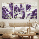 Lavender Herb Wall Art Canvas Print by MyGreatCanvas | Canvas Wall Art Prints | Photo Prints & Wall Decor