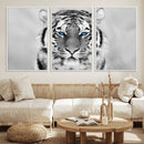 Tiger Canvas Artwork Wall Art Print
