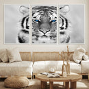 Black and White Tiger Wall Art Animal Canvas Print