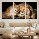 Lion and Lioness Wall Art Canvas Print – Framed African