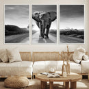 Black and White Elephant Wall Art Canvas Print