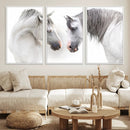 White Horse Wall Art Animal Canvas Print by MyGreatCanvas | Canvas Wall Art Prints | Photo Prints & Wall Decor