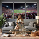 Washington-Grizzly Stadium Canvas Print, American Football