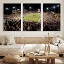 Washington-Grizzly Stadium Canvas Wall Art – Exciting Game