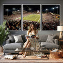 Washington-Grizzly Stadium Canvas Wall Art – Exciting Game