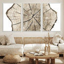 Abstract Wood Tree Ring Wall Art - Ready to Hang Minimalist