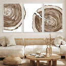 Wood Tree Ring Wall Art Canvas Prints, Tree Rings –