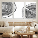 Abstract Large Tree Rings – Minimalist Black and White Wood