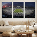 Penn State University Nittany Lions Football Team Print -