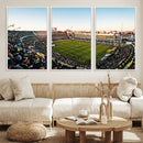 Boca Juniors Soccer Team Print - Buenos Aires Bombonera