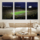 Michigan Wolverines Football Canvas Wall Decor, Football